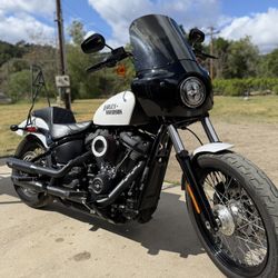 Harley Street Bob 114 2021
