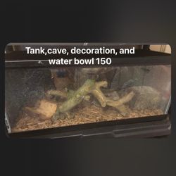 Tank With Everything 