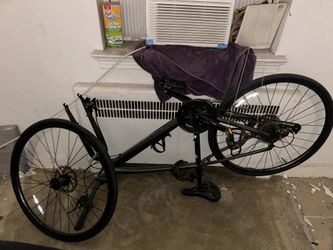 Raleigh 2.0 Bike
