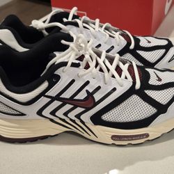 Nike Air Pegasus 2005