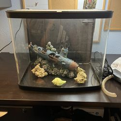 12 Gallon Curved Fish Tank 
