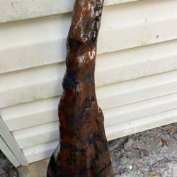 Cypress Knee
