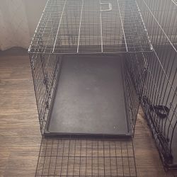 Dog Cage