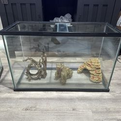 Fish Tank 