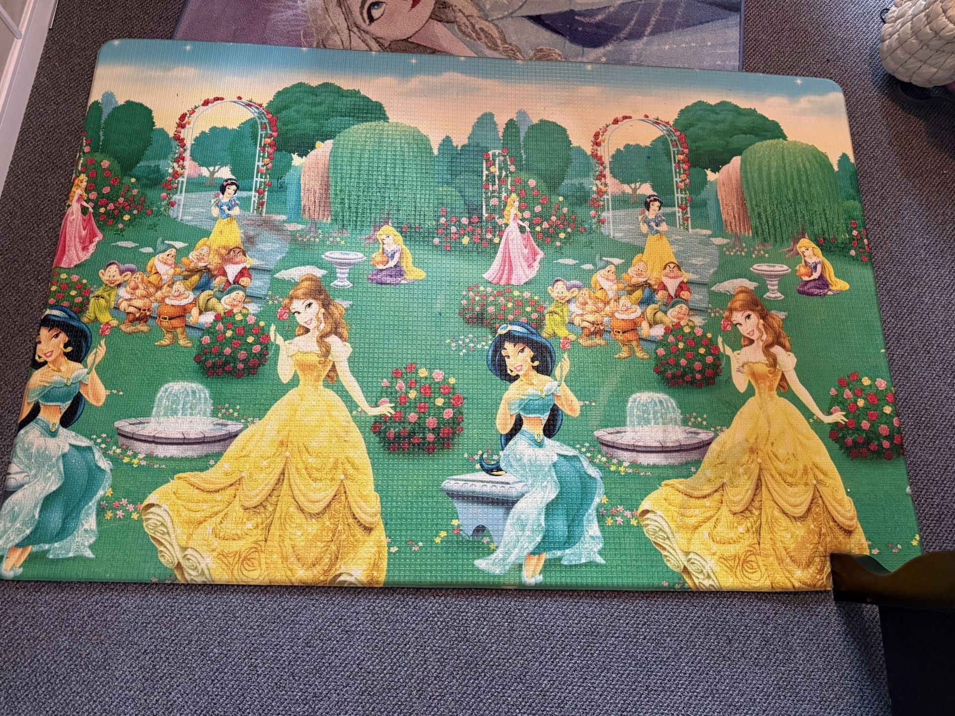 Like new Disney carpet