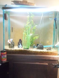 Fish Tank 50 Gallons W Stand