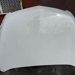 2010-2013-2016 Chevy Equinox hood