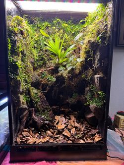 Tall Planted Terrarium