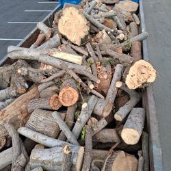 Free Firewood 🔥 Gratis Leña