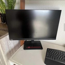 Lenovo ThinkVision Computer Monitor