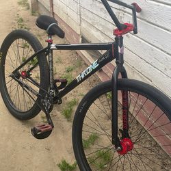 Throne 29er black oil