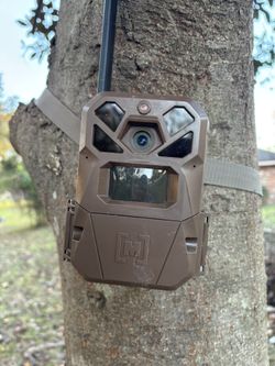 Trail Camera 