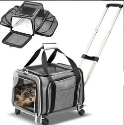 Airline Approved Pet Carrier on Wheels, Grey