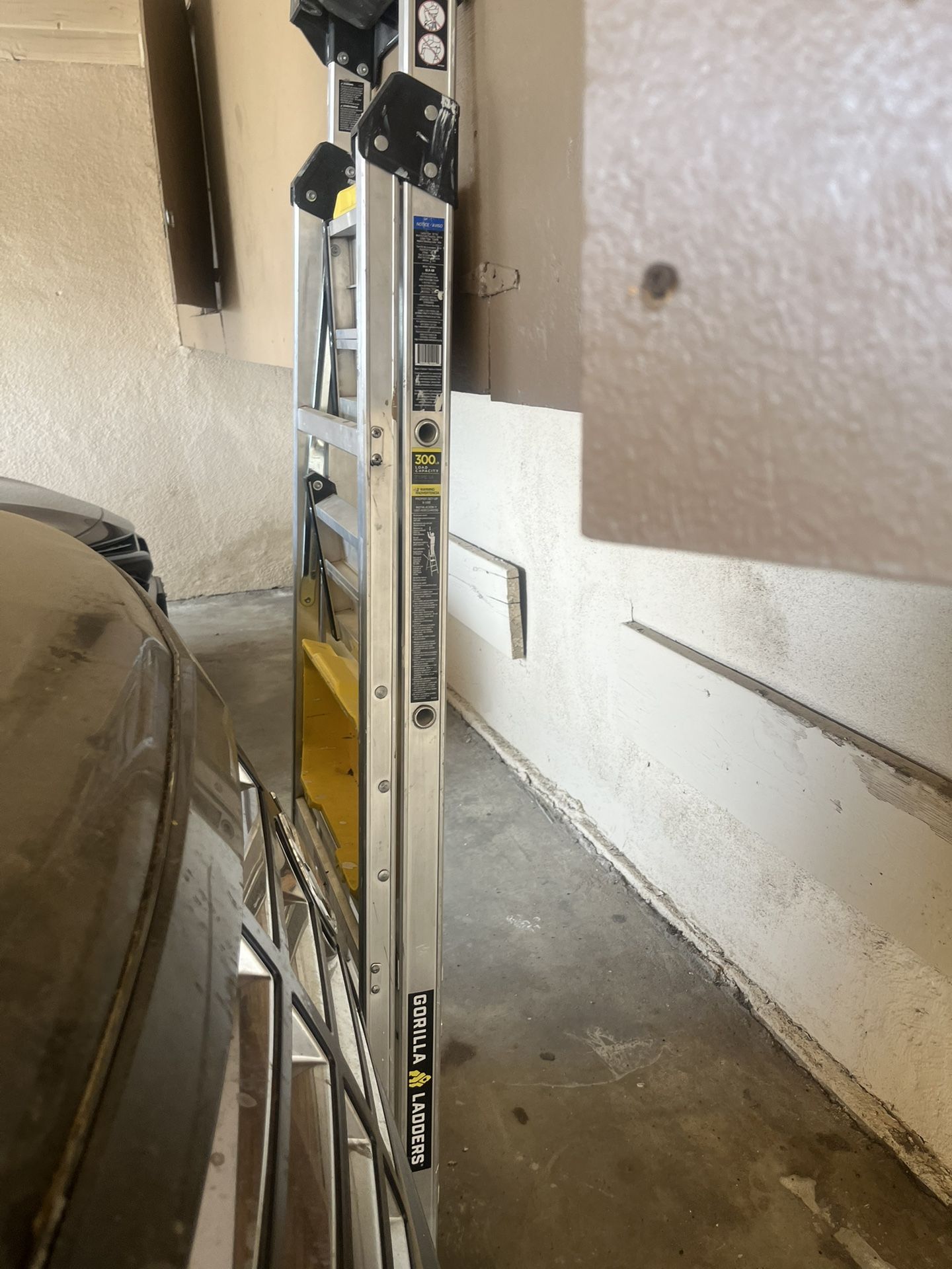 Gorilla Ladder