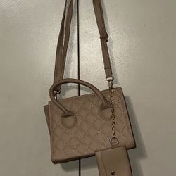 Women’s Purses
