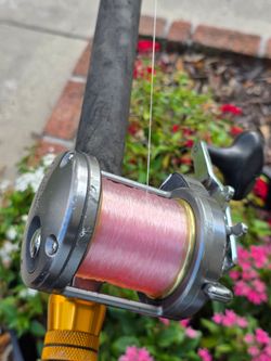 Shimano Torium Reel/New Lines/Black Hook Rod