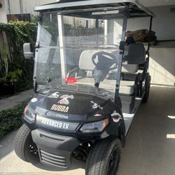 2021 Advanced EV 6 passenger