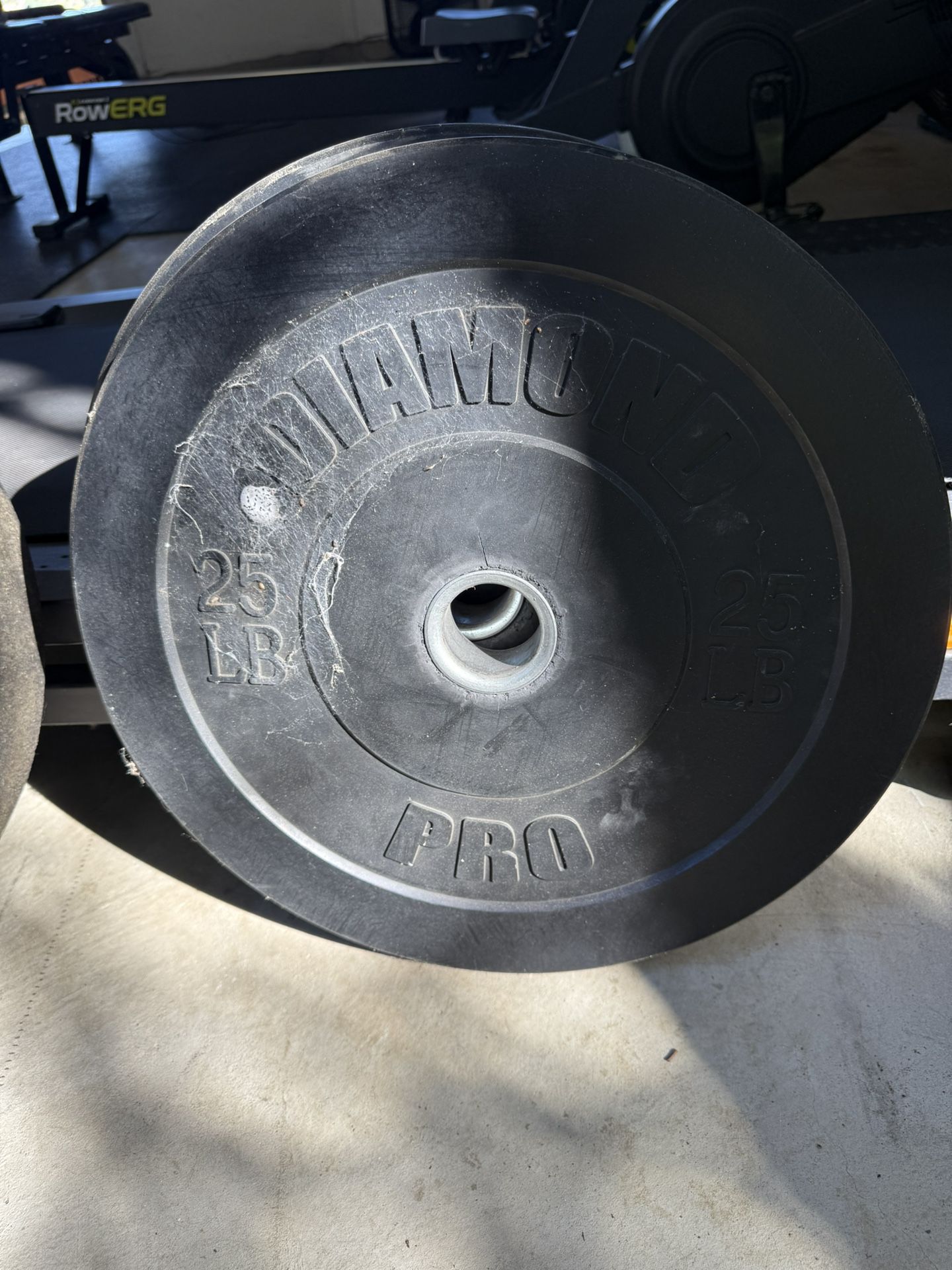 25 lb Bumper Weights (2)