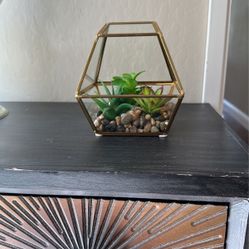 Succulent Plant Garden 6”x6”