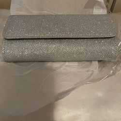 Glittery Silver Clutch Purse