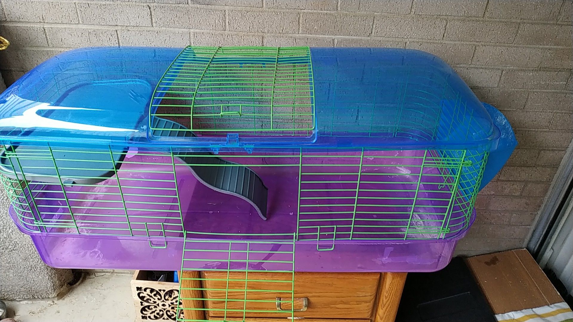 $25 guinea pig big cage with accessories