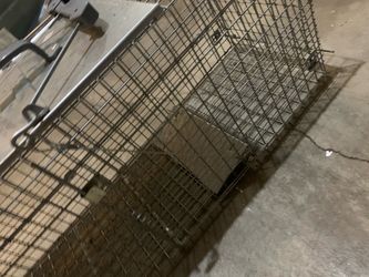 Live Animal Trap Cage
