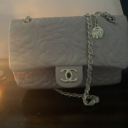 Women Light Pink Purse