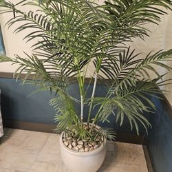 Xtra Large Artificial/ Plastic Palm Tree