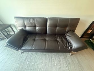 Costco sofa folds down to a bed.