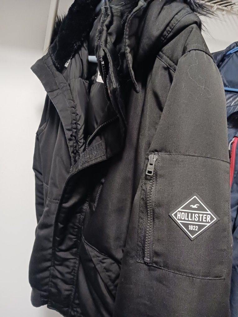 Mens Hollister Winter Coat