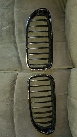 BMW grills
