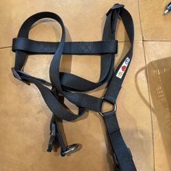 Pawtitas Large Dog Harness