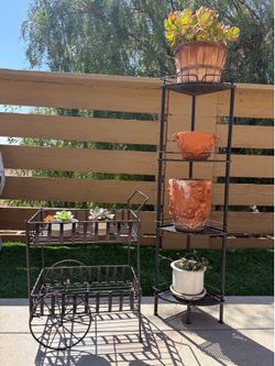 2 plants iron stand for only 75 dollars both of them