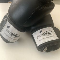 Boxing Gloves 16 Oz 