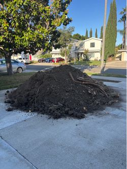 FREE DIRT