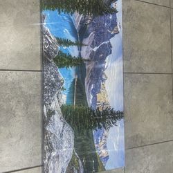 Canvas Frame - Beautiful Hand Made - 20x40 inch   - nature model 