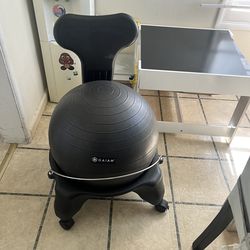 Ball professional chair