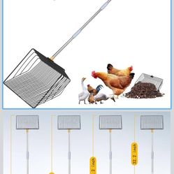 Chicken Coop Scoop 