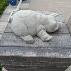 Concrete Pig 