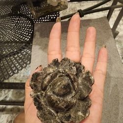 Pyrite Rose 