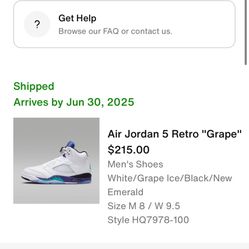 Jordan 5 Grapes