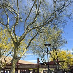 Dodgers vs D Backs Steats or Lawn Tickets Available