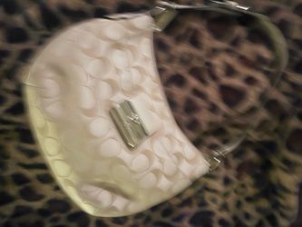 mini coach bag