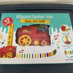 Atlasonix Domino Train Stack, Sort , Build   Location new port Richey 