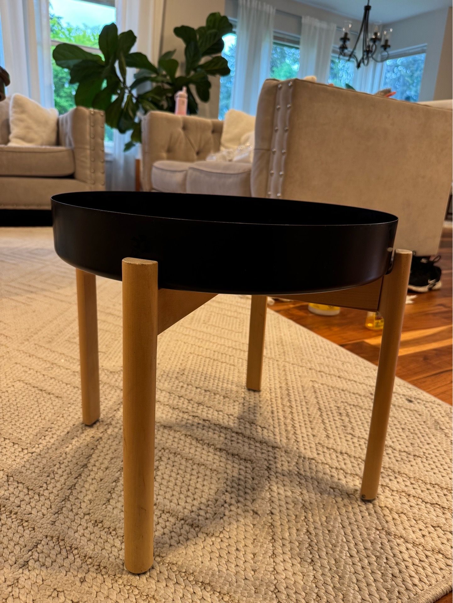 Modern Style Coffee Table or plant holder
