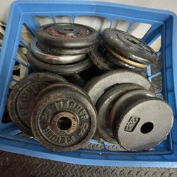 600 Pounds Of Weights Training Fitness Gym