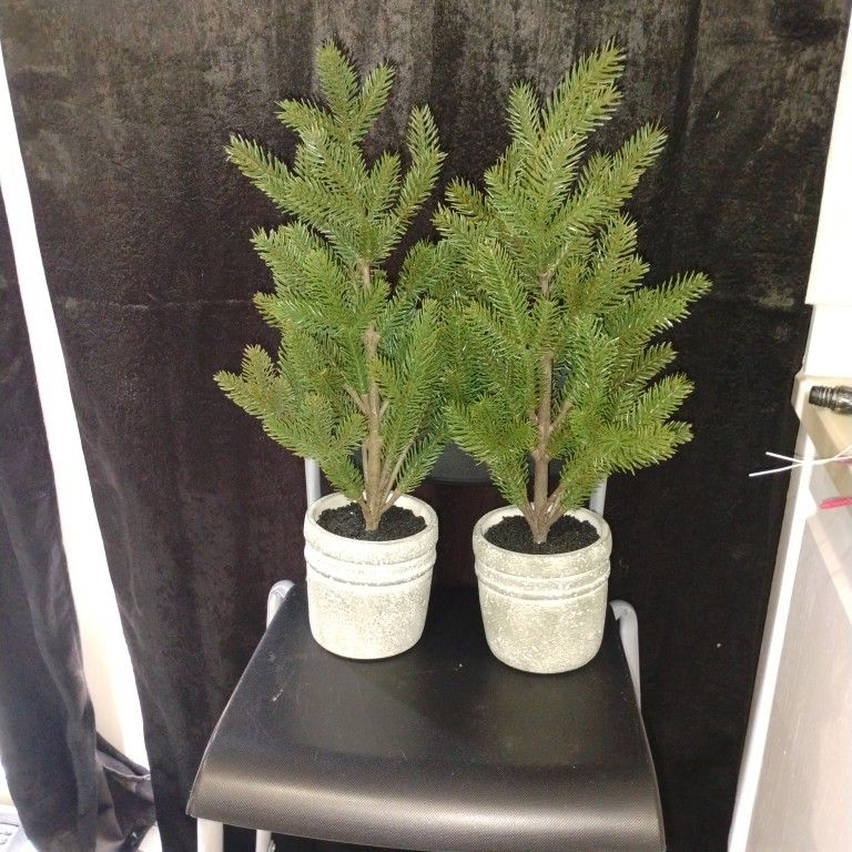 Pinos Artificiales Con Base De Semento