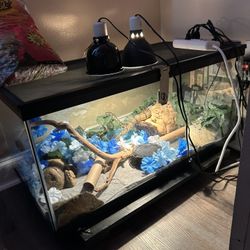 Aquarium / Terrarium Tank 