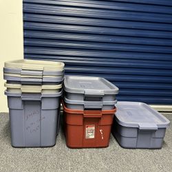Have 30 Pcs 8.00 Each