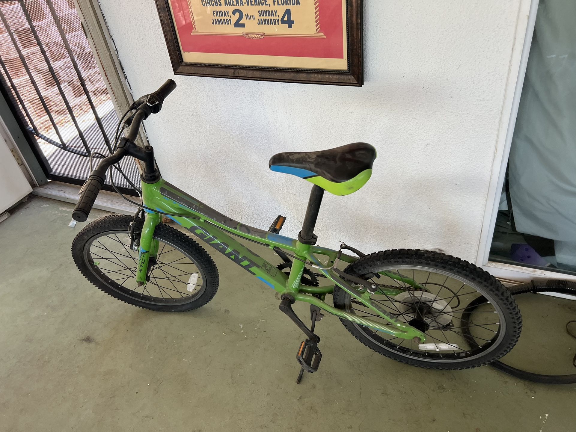 Kids Giant XTC JR. Mountain Bike 20”